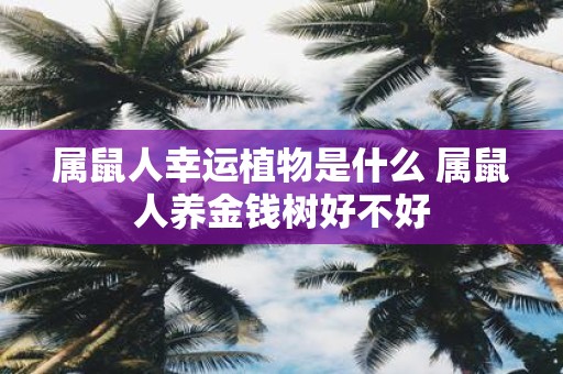 属鼠人幸运植物是什么 属鼠人养金钱树好不好