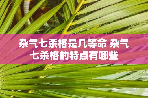杂气七杀格是几等命 杂气七杀格的特点有哪些