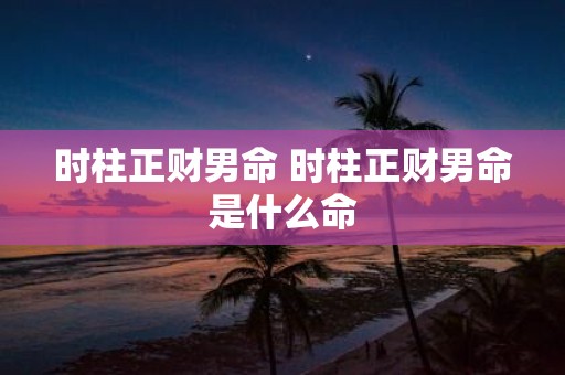 时柱正财男命 时柱正财男命是什么命