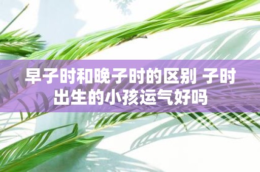 早子时和晚子时的区别 子时出生的小孩运气好吗