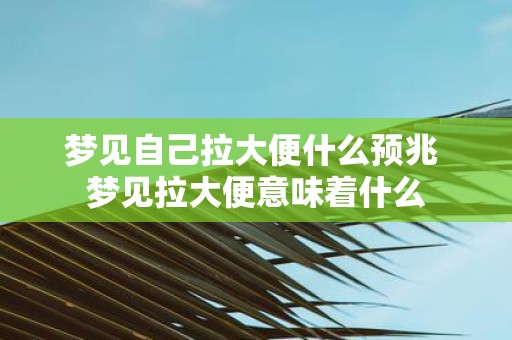 梦见自己拉大便什么预兆 梦见拉大便意味着什么
