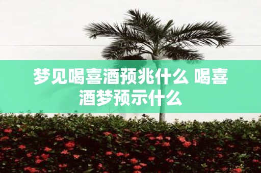 梦见喝喜酒预兆什么 喝喜酒梦预示什么