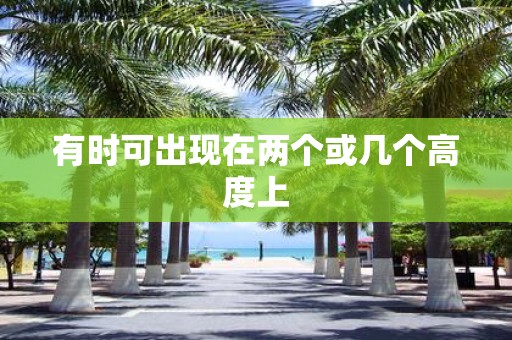 有时可出现在两个或几个高度上