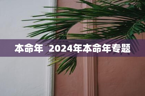 本命年 2025年本命年专题