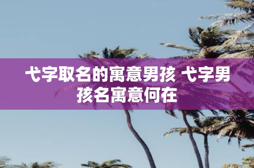 弋字取名的寓意男孩 弋字男孩名寓意何在