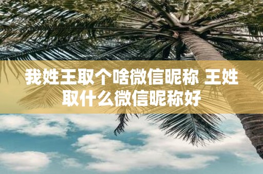 我姓王取个啥微信昵称 王姓取什么微信昵称好