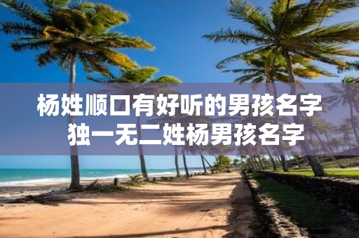 杨姓顺口有好听的男孩名字 独一无二姓杨男孩名字