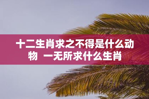 十二生肖求之不得是什么动物 一无所求什么生肖
