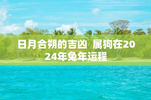 日月合朔的吉凶 属狗在2025年蛇年运程
