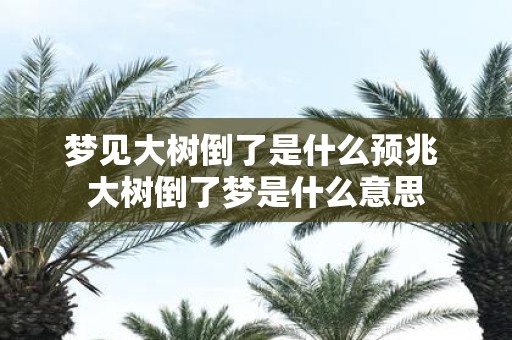 梦见大树倒了是什么预兆 大树倒了梦是什么意思