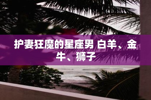 护妻狂魔的星座男 白羊、金牛、狮子