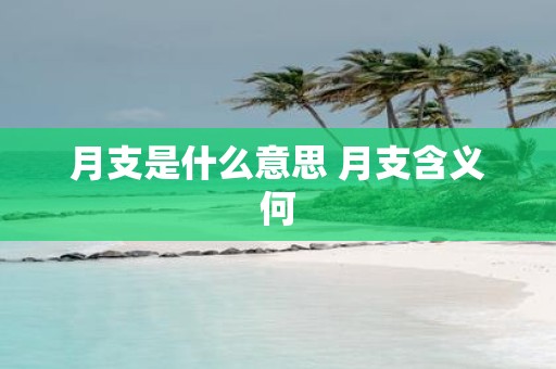 月支是什么意思 月支含义何