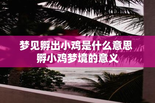 梦见孵出小鸡是什么意思 孵小鸡梦境的意义