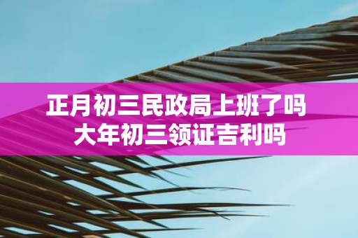 正月初三民政局上班了吗 大年初三领证吉利吗
