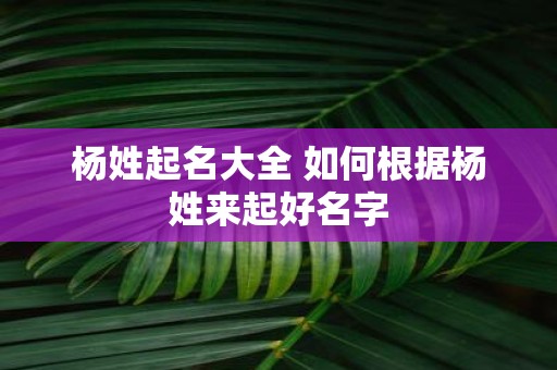杨姓起名大全 如何根据杨姓来起好名字