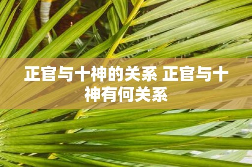 正官与十神的关系 正官与十神有何关系