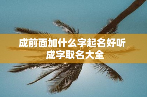 成前面加什么字起名好听 成字取名大全