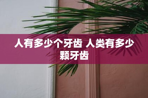 人有多少个牙齿 人类有多少颗牙齿