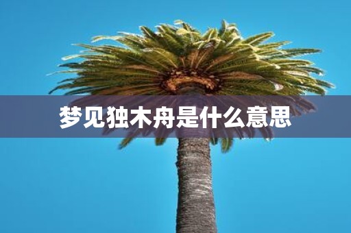 梦见独木舟是什么意思