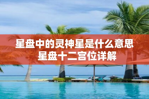 星盘中的灵神星是什么意思 星盘十二宫位详解