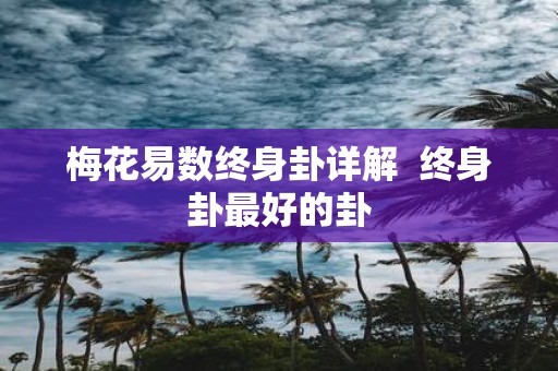 梅花易数终身卦详解 终身卦最好的卦