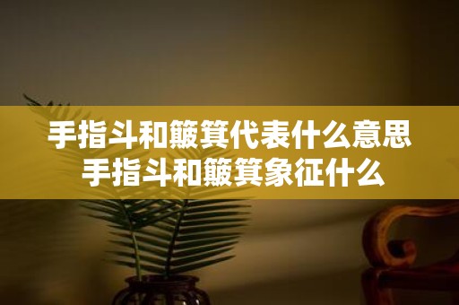 手指斗和簸箕代表什么意思 手指斗和簸箕象征什么