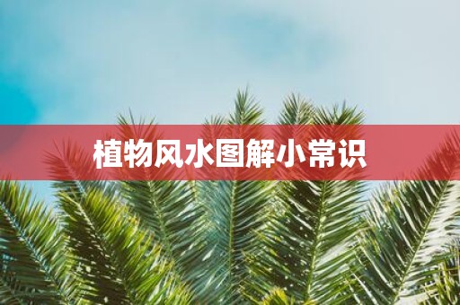 植物风水图解小常识