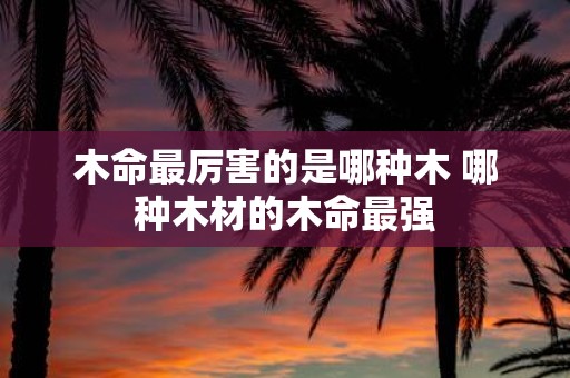 木命最厉害的是哪种木 哪种木材的木命最强