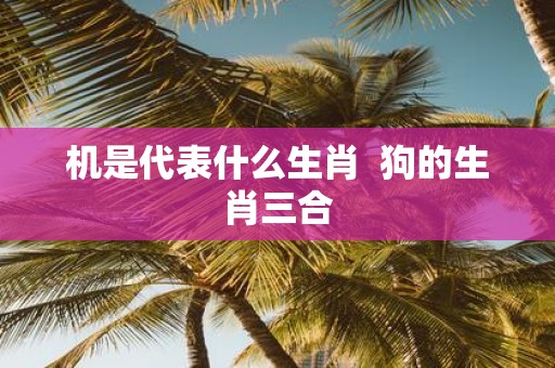 机是代表什么生肖 狗的生肖三合