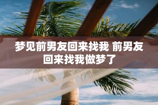 梦见前男友回来找我 前男友回来找我做梦了