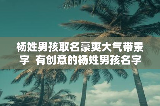杨姓男孩取名豪爽大气带景字 有创意的杨姓男孩名字