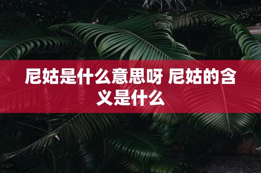 尼姑是什么意思呀 尼姑的含义是什么