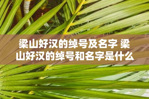 梁山好汉的绰号及名字 梁山好汉的绰号和名字是什么