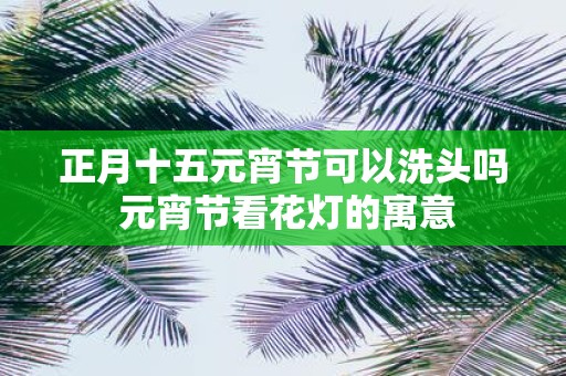 正月十五元宵节可以洗头吗 元宵节看花灯的寓意