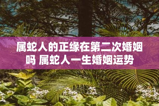属蛇人的正缘在第二次婚姻吗 属蛇人一生婚姻运势