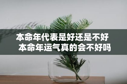 本命年代表是好还是不好 本命年运气真的会不好吗
