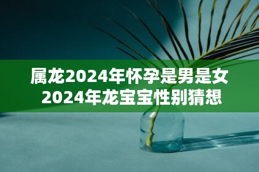 属龙2025年怀孕是男是女 2025年龙宝宝性别猜想