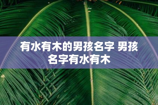 有水有木的男孩名字 男孩名字有水有木