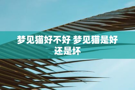梦见猫好不好 梦见猫是好还是坏