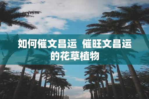 如何催文昌运 催旺文昌运的花草植物