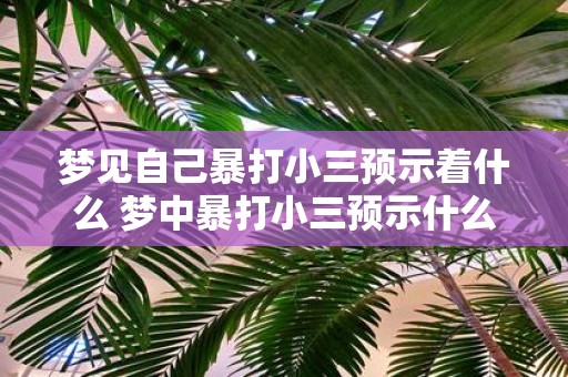 梦见自己暴打小三预示着什么 梦中暴打小三预示什么