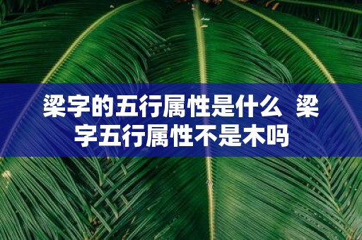 梁字的五行属性是什么 梁字五行属性不是木吗