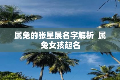 属兔的张星晨名字解析 属兔女孩起名