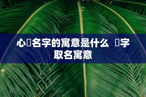 心玥名字的寓意是什么 玥字取名寓意
