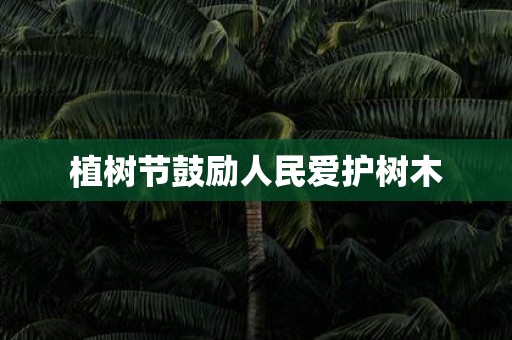 植树节鼓励人民爱护树木