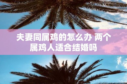 夫妻同属鸡的怎么办 两个属鸡人适合结婚吗