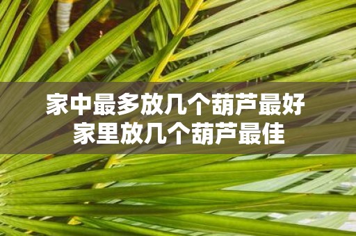 家中最多放几个葫芦最好 家里放几个葫芦最佳