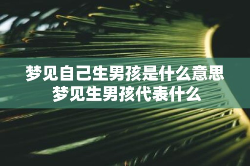 梦见自己生男孩是什么意思 梦见生男孩代表什么