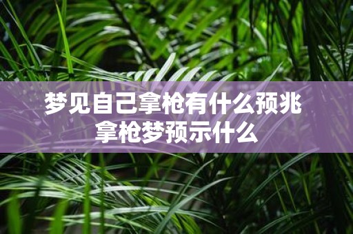梦见自己拿枪有什么预兆 拿枪梦预示什么
