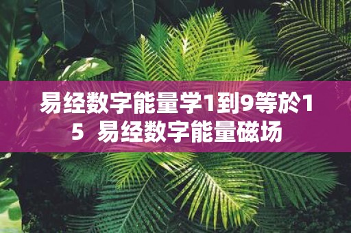 易经数字能量学1到9等於15 易经数字能量磁场